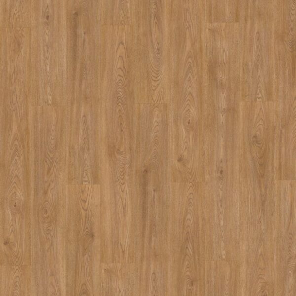 Grandeur Laminate Plank 12 Collection Vienna Dora 53" x 8" x 1/2" | 12mm Thickness