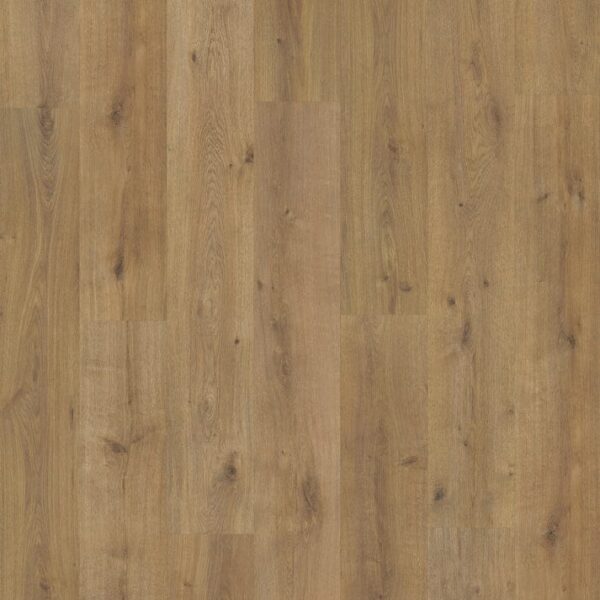 Grandeur Laminate Plank XXL Collection Kilimanjaro  70" x 9-2/3" x 1/2" | 12mm Thickness