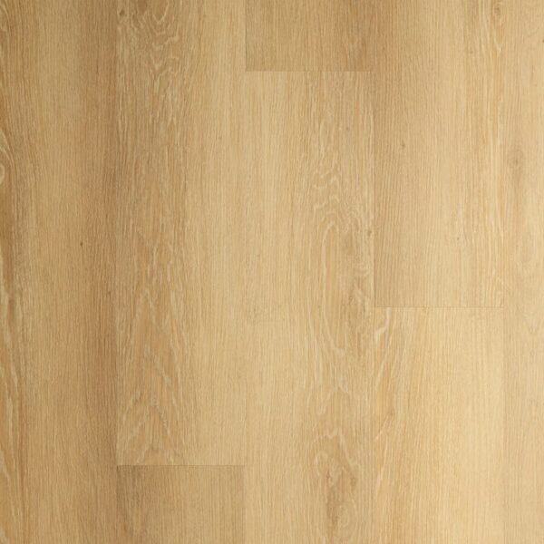 Grandeur Vinyl Plank Continental (SPC) Kentucky 7" x 60" x 9/32" |7 mm Thickness