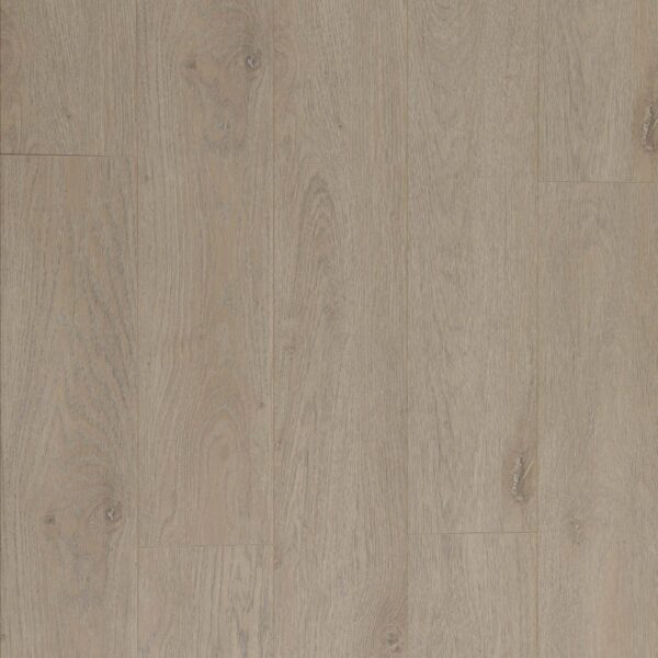 PureLux Laminate Flooring Betten Series Banwell 47-3/4" x 7-11/16" x 9/16" |14.3 mm Thickness