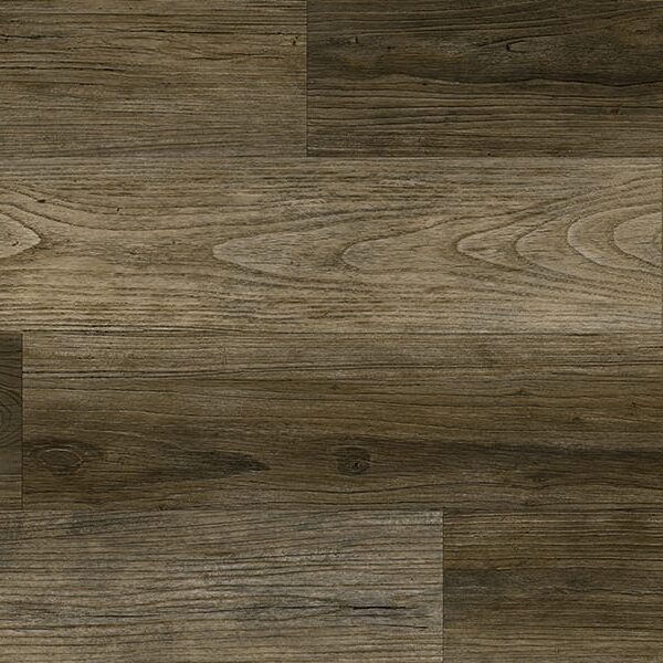 Twelve Oaks Vinyl Plank (SPC) Wishbone Luxury Vinyl Collection Divine Elm Border 1/4" x 7" x 48" |6 mm Thickness