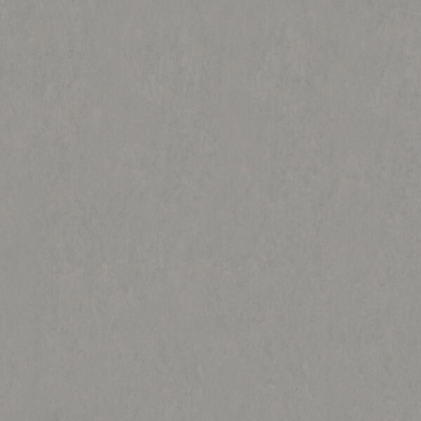 Tarkett - Linoleum Sheet LinoFloor xf² Style Emme #202 Cemento 6-9/16' - 2.5 mm (Sold in Sqyd)