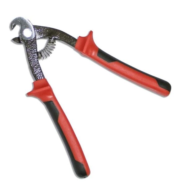 Rubi - Parrot Nipper