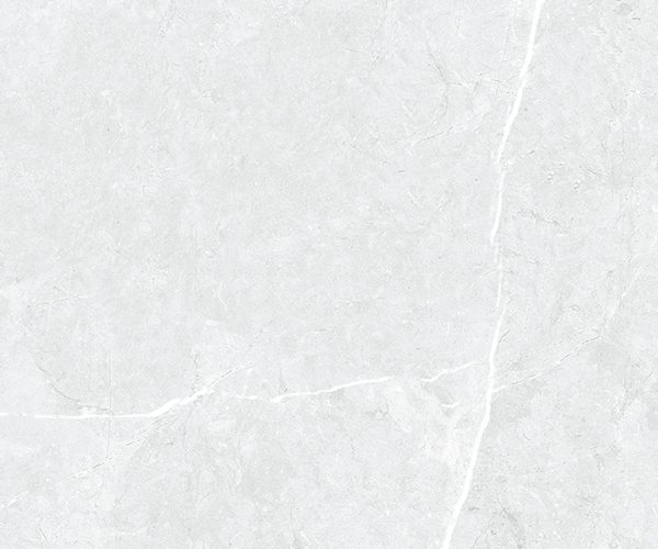 Centura Floor Tile Leiva Bone Matte 12" x 24"
