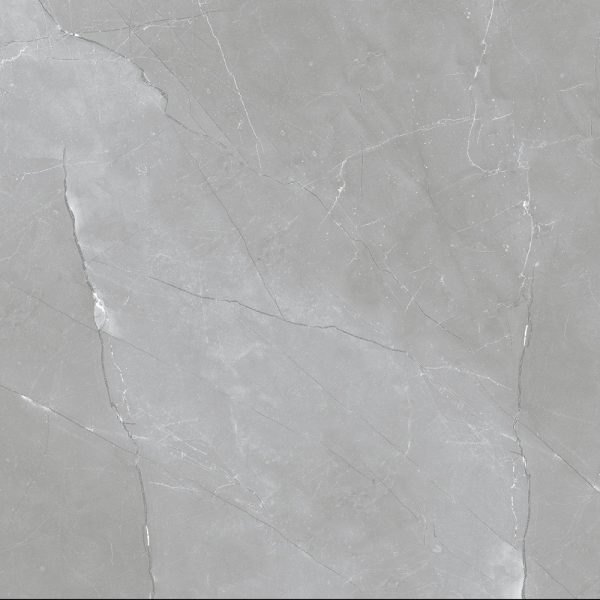 Centura Floor Tiles Ernie Grigio Polished 24" x 24"