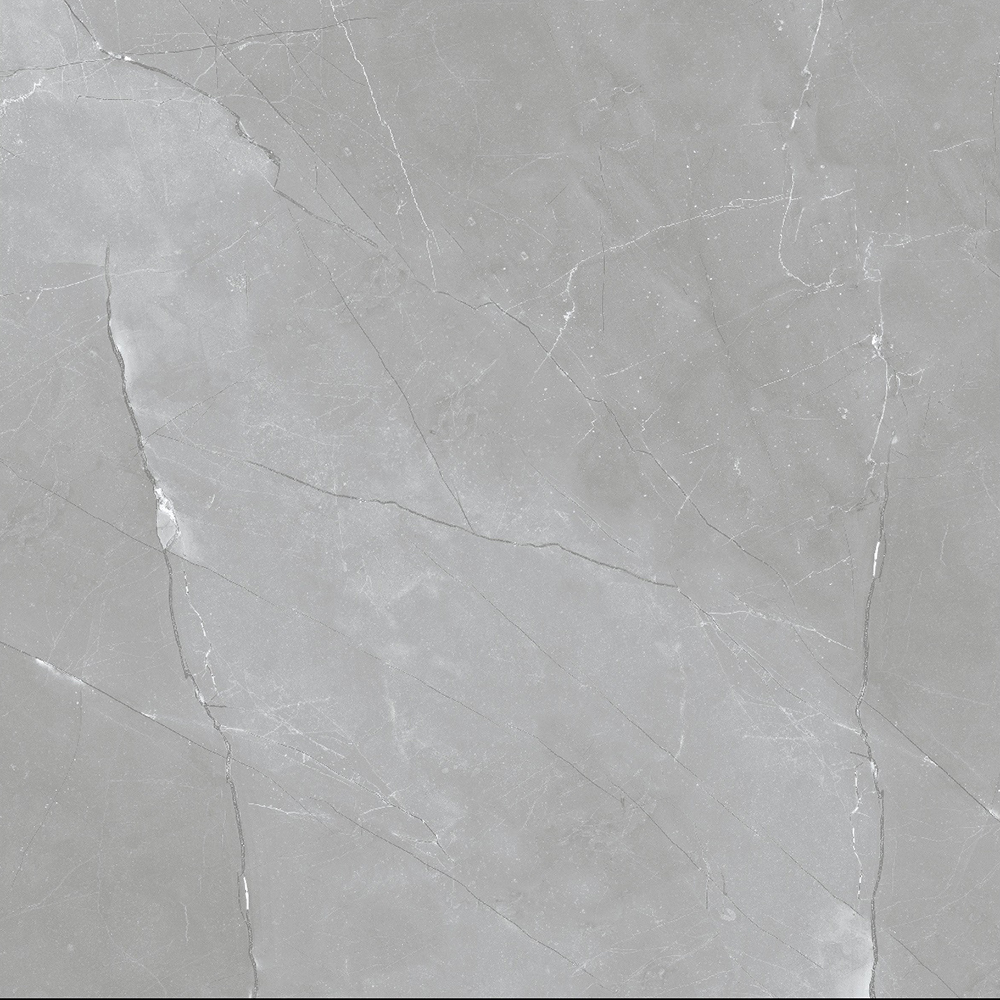 centura floor tiles ernie grigio polished 24" x 24" 1 centura floor tiles ernie grigio polished 24" x 24"