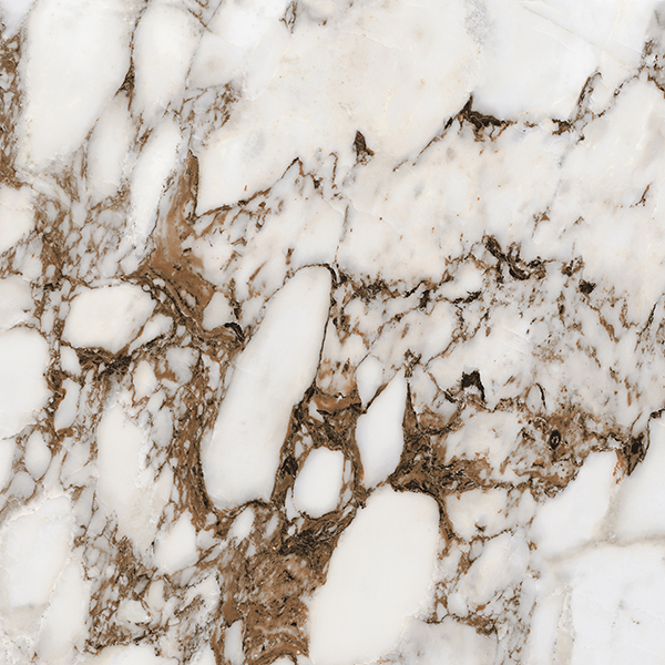 Centura Floor Tiles Bijoux Breche Capraia Polished 24" x 24"
