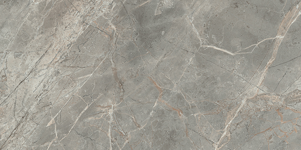 Centura Floor Tiles Étoile Gris Natural 24" x 48"