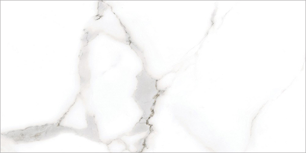 Centura Floor Tiles Alsacia Matte 24" x 48" (15.5 sqft/box)