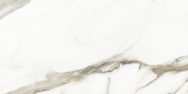 Centura Floor Tiles Calacatta Borghini Matte 12" x 24"