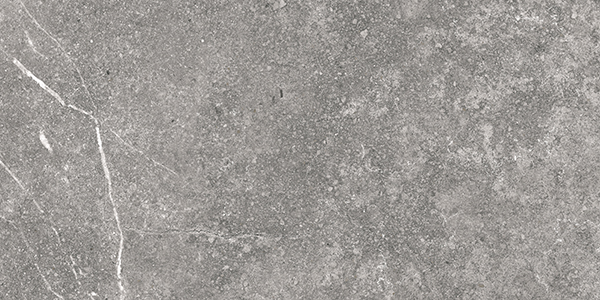 Centura Floor Tiles Soapstone Gray Matte 12" x 24"
