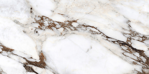 Centura Floor Tiles Bijoux Breche Capraia Matte 24" x 48"