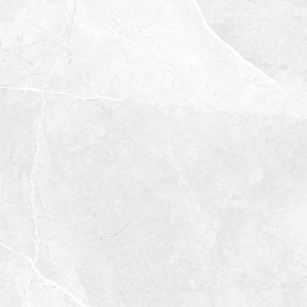 Centura Floor Tile Leiva Bone Matte 24" x 24"