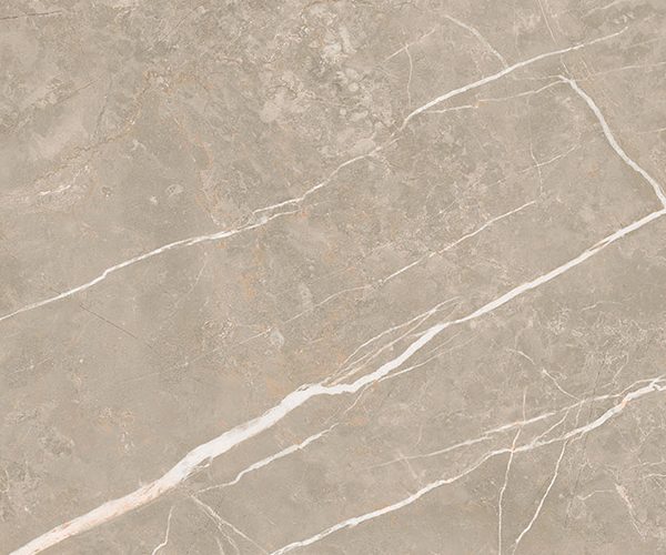 Centura Floor Tiles Elite Greige Matte 12" x 24"