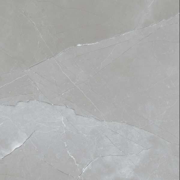 Centura Floor Tiles Ernie Grigio Matte 24" x 24"