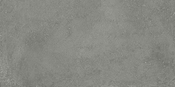 Centura Floor Tiles Integra Gray Matte 12" x 24"