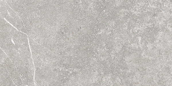 Centura Floor Tiles Soapstone Silver Matte 12" x 24"