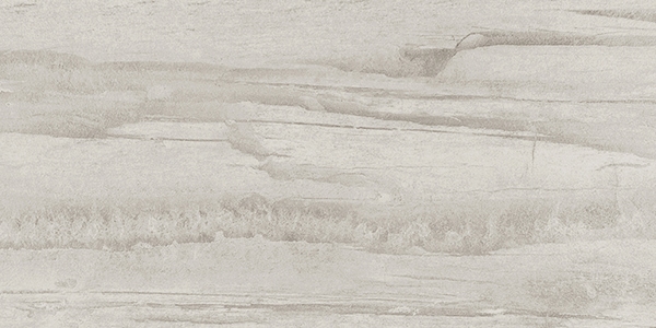 Centura Floor Tiles Boreal Silver Matte 12" x 24"