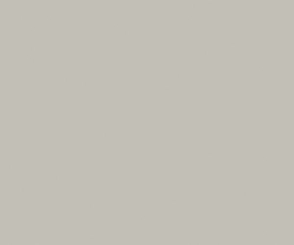 Centura Floor Tiles Carpenter Taupe Matte 12" x 24" (15.42 sqft)