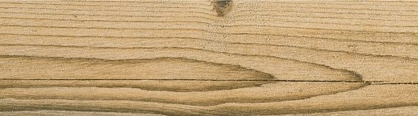 Centura Floor Tile Cortina Honey Matte 6" x 36"