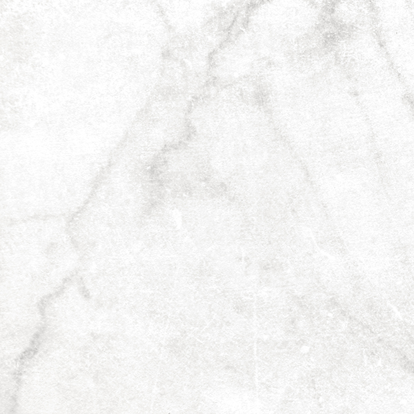 Centura Floor Tiles Antica Carrara White Natural 24" x 24"