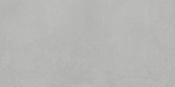 Centura Floor Tiles Integra Silver Matte 12" x 24"