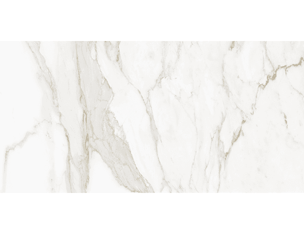 Anatolia Floor Tiles La Marca Calacatta Paonazzo Honed 24" x 48"