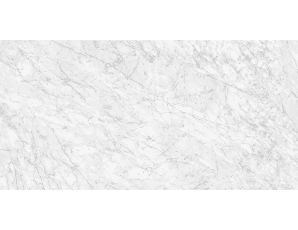 Anatolia Floor Tiles La Marca Carrara Gioia Honed 24" x 48"
