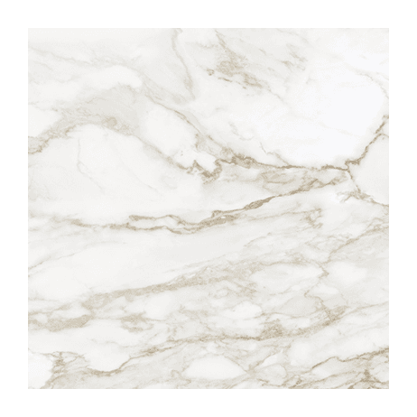 Anatolia Floor Tiles La Marca Calacatta Paonazzo Honed 32" x 32"