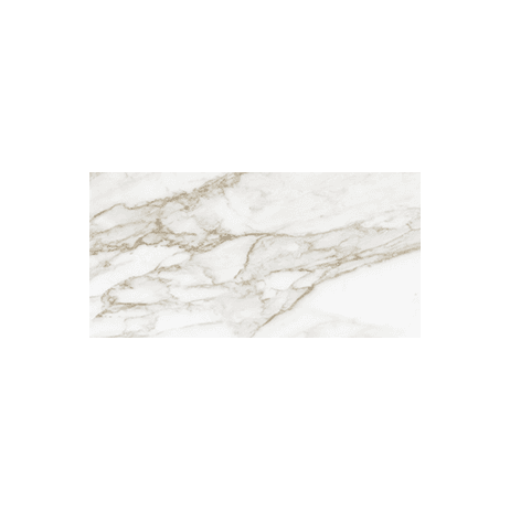 Anatolia Floor Tiles La Marca Calacatta Paonazzo Honed 12" x 24"