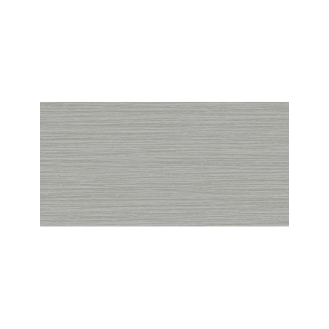 Anatolia Floor Tiles Zera Annex Silver Matte 12" x 24"