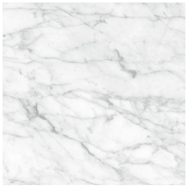 Anatolia Floor Tile Plata Carrara Abisso Matte 24" x 24"