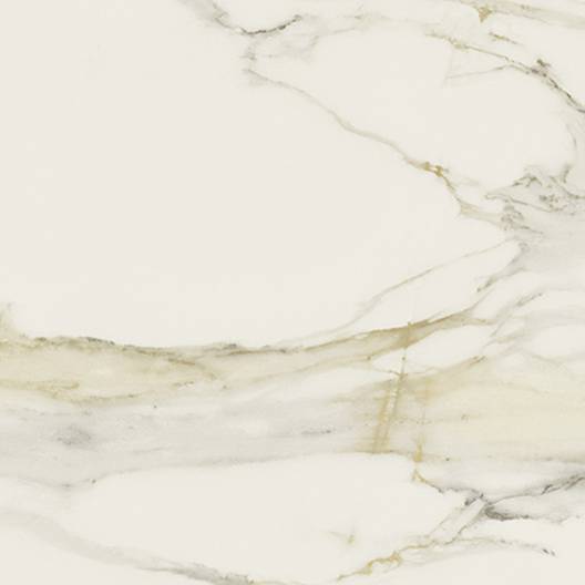 Centura Wall Tiles I Classici Calacatta Gold Matte 47" x 47"