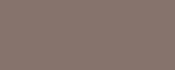 Centura Wall Tiles Design Positive Brun Taupe 03 Matte 8" x 20"
