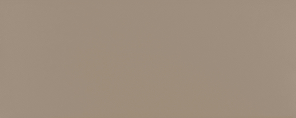 Centura Wall Tiles Design Positive Chamois 11 Matte 8" x 20"