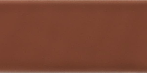 Centura Wall Tiles Costa Nova Terra Glossy 2" x 8"