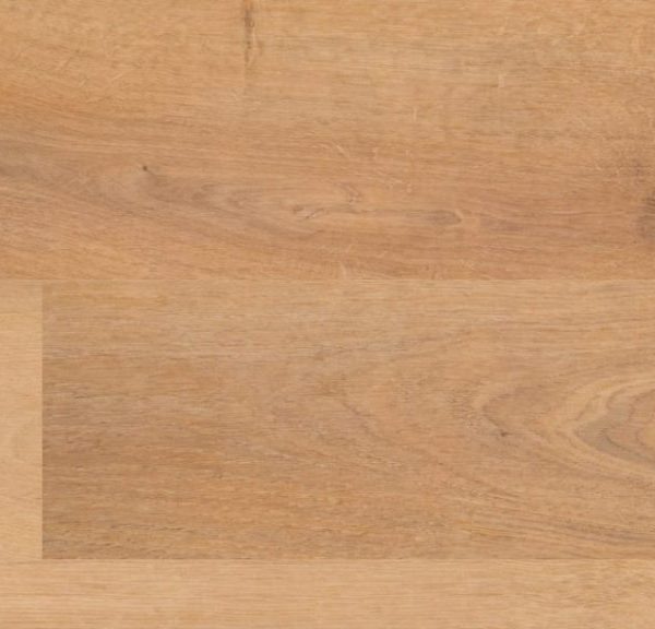 Fuzion Vinyl Planks Atelier Morning Glow Glue Down 7-3/8" x 48-5/16"