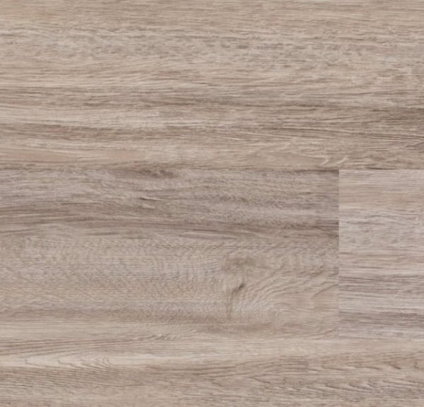 Fuzion Vinyl Planks Woodlands Beech Tree Glue Down 7" x 48"