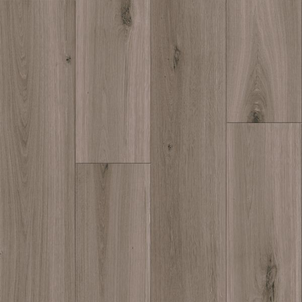 Armstrong Vinyl Planks Biome Natterhorn Glue Down 6" x 48"