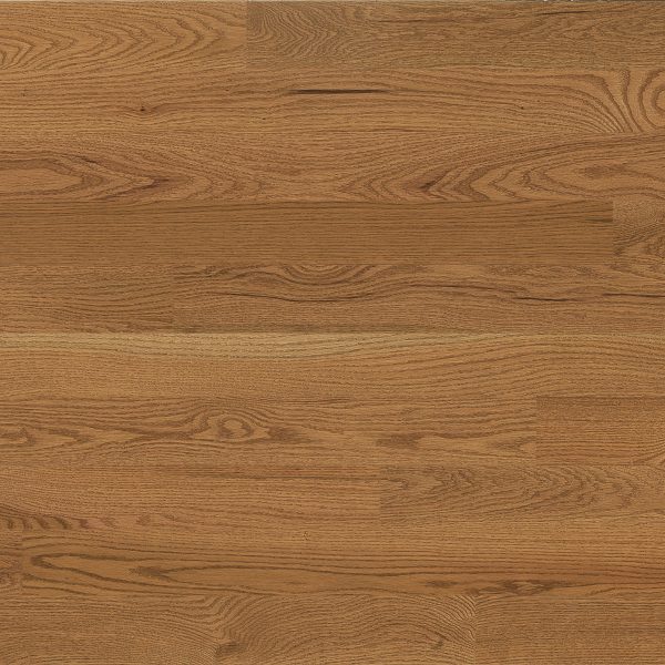 Lauzon Collection Hardwood Essential Crême Brulée Red Oak Semi-Gloss 3¼" - ¾"