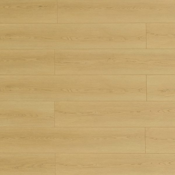 Toucan Laminate Flooring TF81 Series #8107 Muscatine 9-3/8" x 59-13/16"