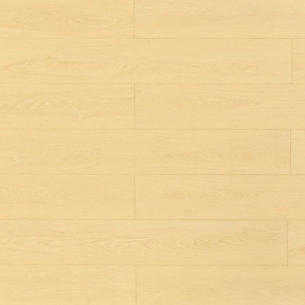 Toucan Laminate Flooring TF81 Series #8104 Dune 9-3/8" x 59-13/16"
