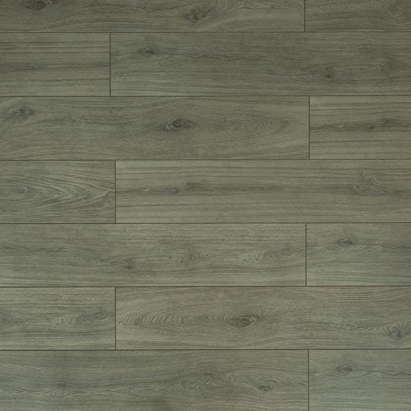 Toucan Laminate Flooring TF63 Series #6309 7-11/16" x 47-13/16"