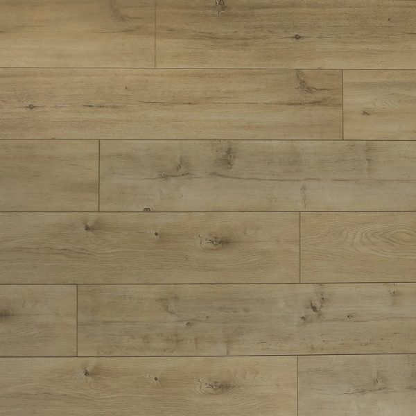 Toucan Laminate Flooring TF63 Series #6301 7-11/16" x 47-13/16"