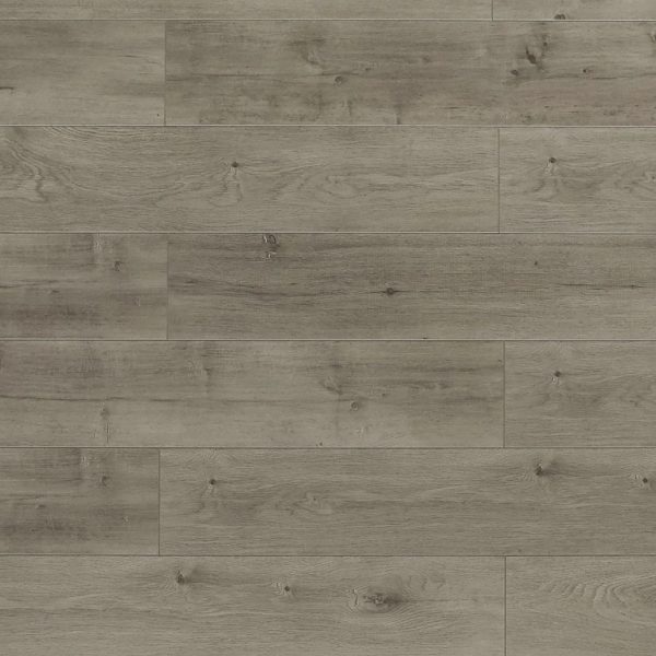 Toucan Laminate Flooring TF63 Series #6303 7-11/16" x 47-13/16"