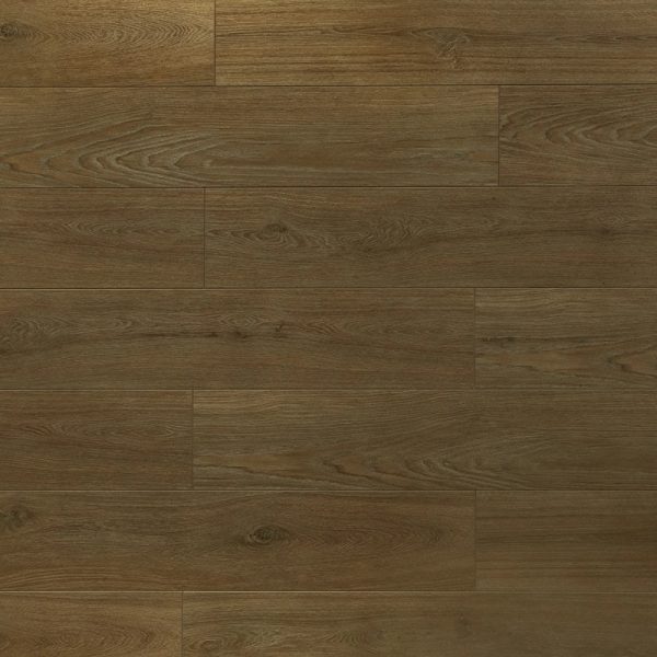 Toucan Laminate Flooring TF63 Series #6308 7-11/16" x 47-13/16"
