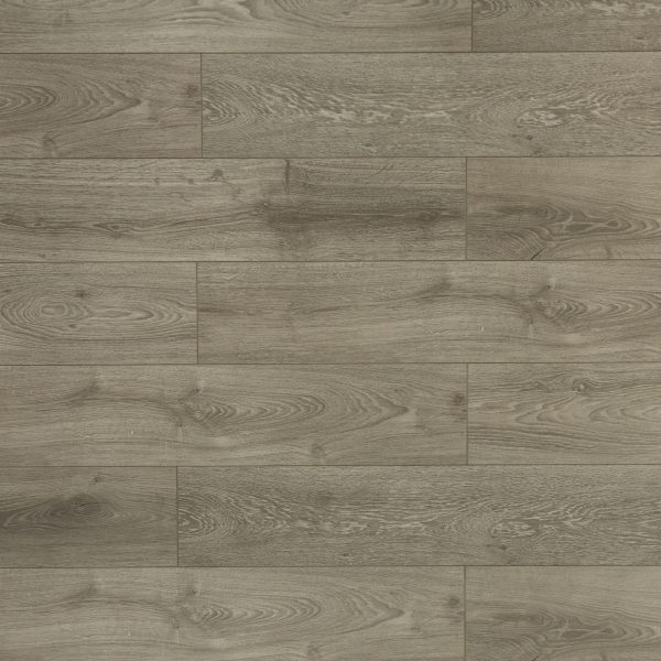 Toucan Laminate Flooring TF60 Series #6021 7-11/16" x 48"