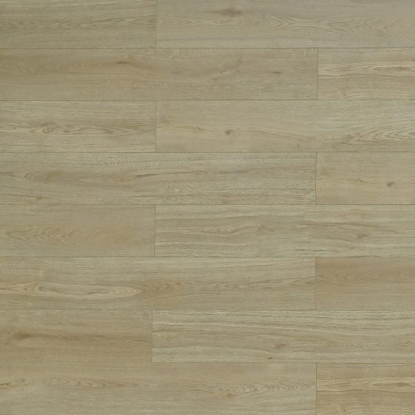 Toucan Laminate Flooring TF66 Series #6611 Las Cruces 7-3/4" x 47-15/16"