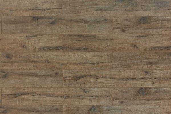 toucan laminate flooring tf60 series #6005 7-11/16" x 48"