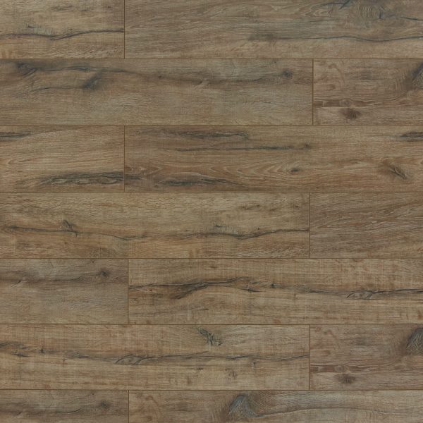 Toucan Laminate Flooring TF60 Series #6005 7-11/16" x 48"